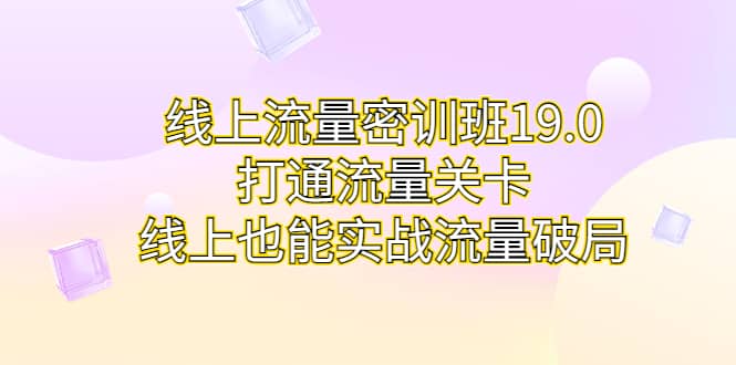 线上流量密训班19.0,打通流量关卡,线上也能实战流量破局-逍遥游