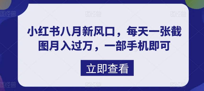 八月新风口,小红书虚拟项目一天收入1000+,实战揭秘-逍遥游