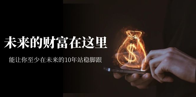 某收费文章《未来的财富在这里》能让你至少在未来的10年站稳脚跟-逍遥游