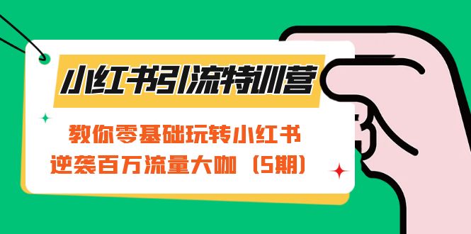 小红书引流特训营-第5期：教你零基础玩转小红书，逆袭百万流量大咖-逍遥游