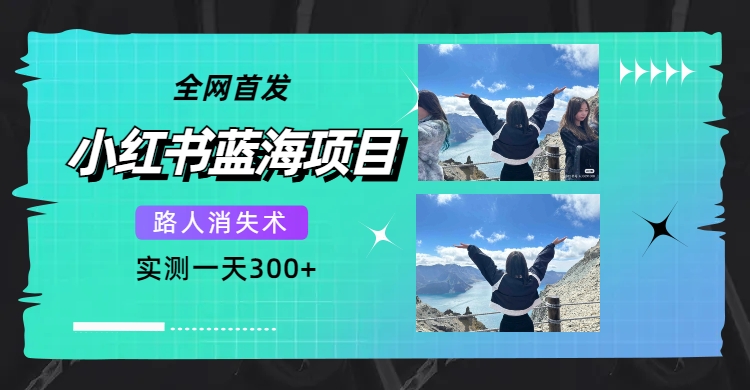 全网首发,小红书蓝海项目,路人消失术,实测一天300+(教程+工具)-逍遥游