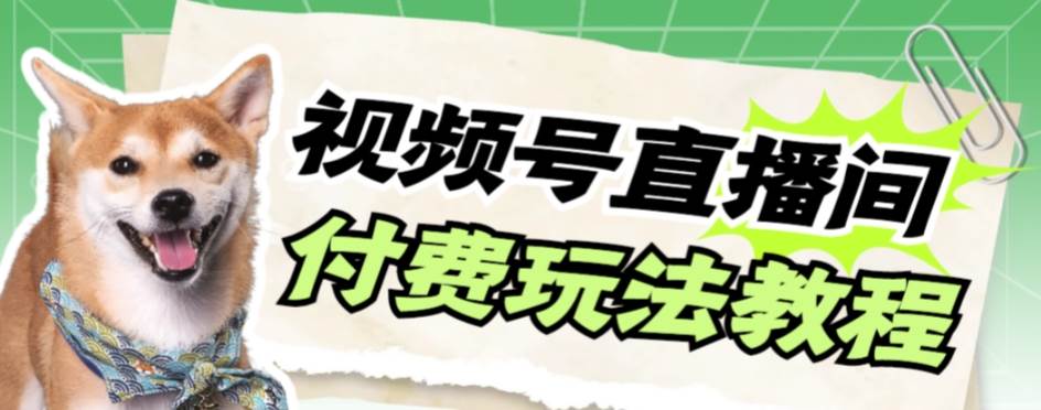 视频号美女付费无人直播，轻松日入500+【详细玩-逍遥游