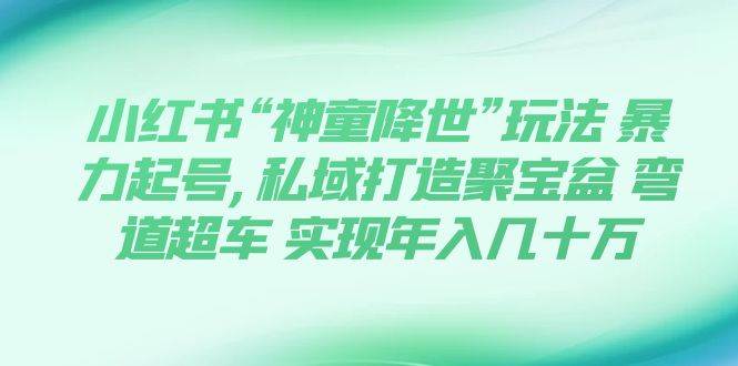 小红书“神童降世”玩法 暴力起号,私域打造聚宝盆 弯道超车 实现年入几十万-逍遥游