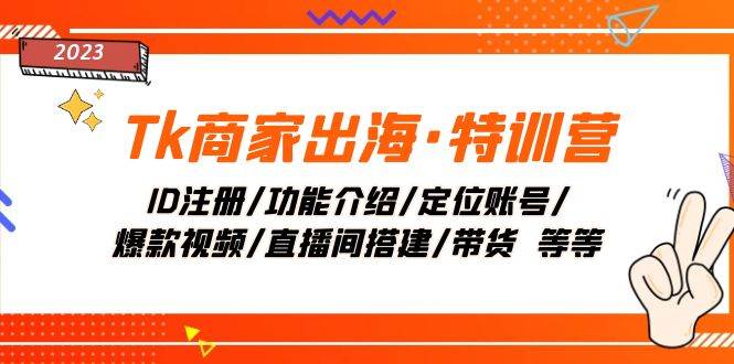 Tk商家出海·特训营:ID注册/功能介绍/定位账号/爆款视频/直播间搭建/带货-逍遥游