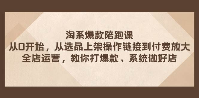 淘系爆款陪跑课 从选品上架操作链接到付费放大 全店运营 打爆款 系统做好店-逍遥游