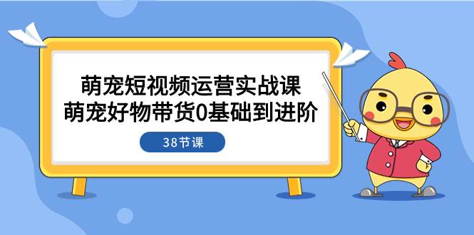 萌宠·短视频运营实战课:萌宠好物带货0基础到进阶(38节课)-逍遥游