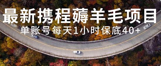 最新携程薅羊毛项目,单账号每天1小时保底收益40+,可矩阵操作-逍遥游