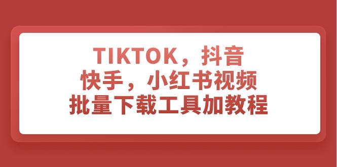 TIKTOK，抖音，快手，小红书视频批量下载工具加教程-逍遥游