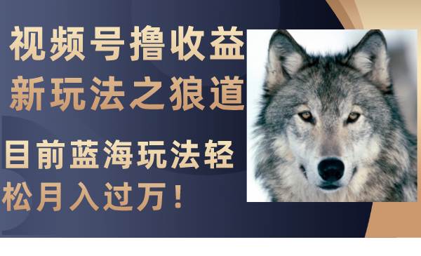 视频号撸收益新玩法之狼道，目前蓝海玩法轻松月入过万！-逍遥游