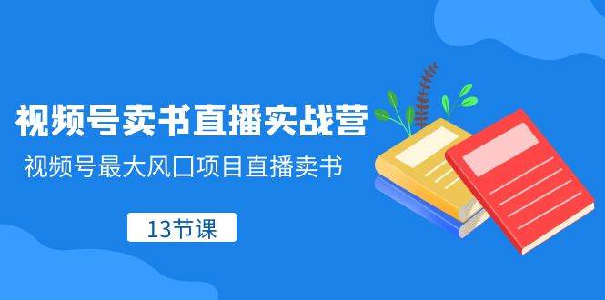 视频号-卖书直播实战营，视频号最大风囗项目直播卖书（13节课）-逍遥游