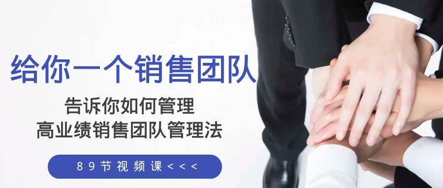 给你一个销售团队,告诉你如何管理,高业绩销售团队管理法(89节课)-逍遥游
