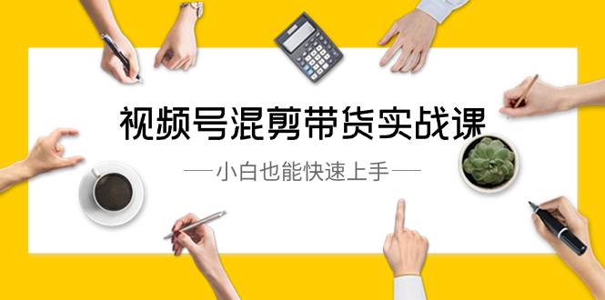 视频号-混剪带货实战课,小白也能快速上手(10节课)-逍遥游