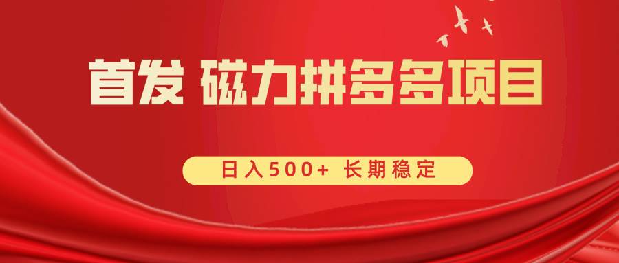 首发 磁力拼多多自撸  日入500+-逍遥游