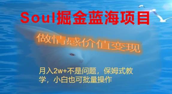 Soul掘金蓝海项目细分赛道，做情感价值变现，月入2w+不是问题-逍遥游