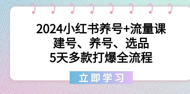 2024小红书养号+流量课:建号、养号、选品,5天多款打爆全流程-逍遥游