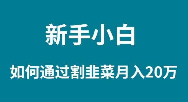 新手小白如何通过割韭菜月入 20W-逍遥游