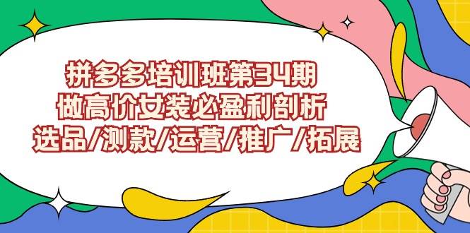 拼多多培训班第34期:做高价女装必盈利剖析 选品/测款/运营/推广/拓展-逍遥游