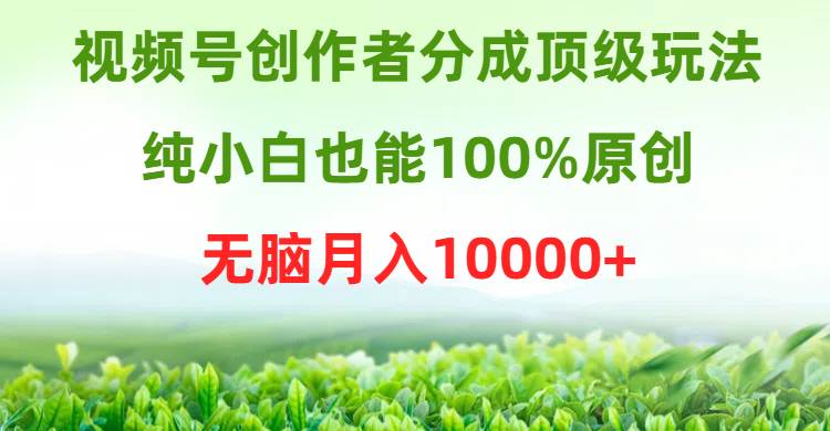 视频号创作者分成顶级玩法，纯小白也能100%原创，无脑月入10000+-逍遥游