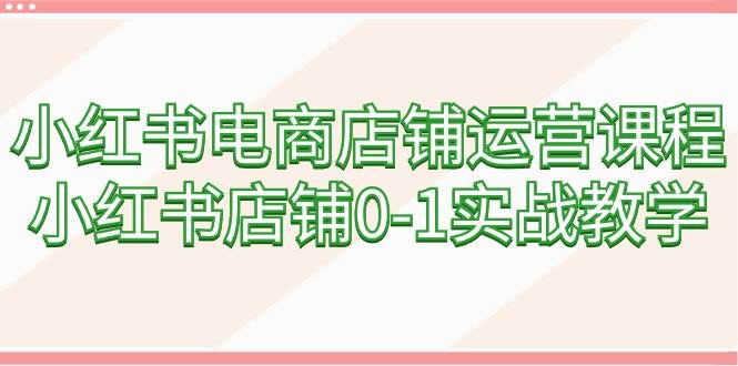 小红书电商店铺运营课程,小红书店铺0-1实战教学(60节课)-逍遥游