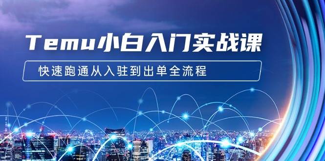 Temu小白入门实战课:跨境拼多多电商培训 快速跑通从入驻到出单全流程-12节-逍遥游