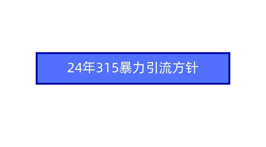 2024年315暴力引流方针-逍遥游