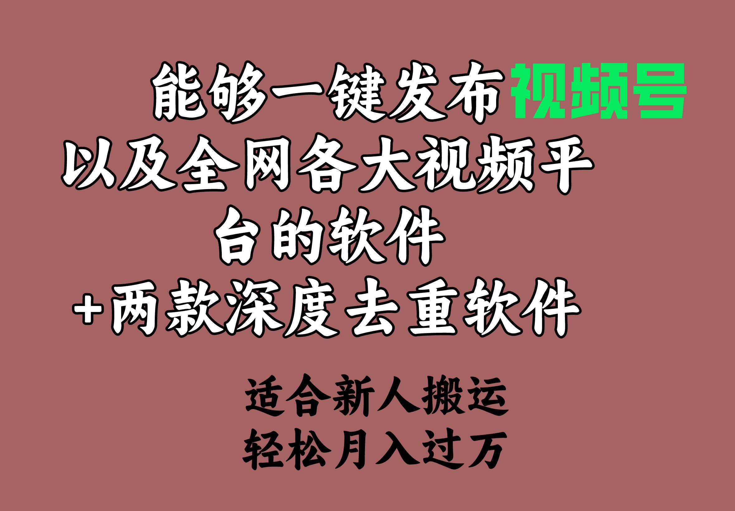能够一键发布视频号以及全网各大视频平台的软件+两款深度去重软件 适合…-逍遥游