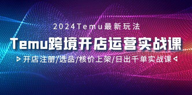 2024Temu跨境开店运营实战课,开店注册/选品/核价上架/日出千单实战课-逍遥游