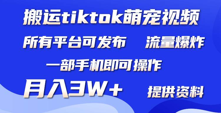 搬运Tiktok萌宠类视频,一部手机即可。所有短视频平台均可操作,月入3W+-逍遥游