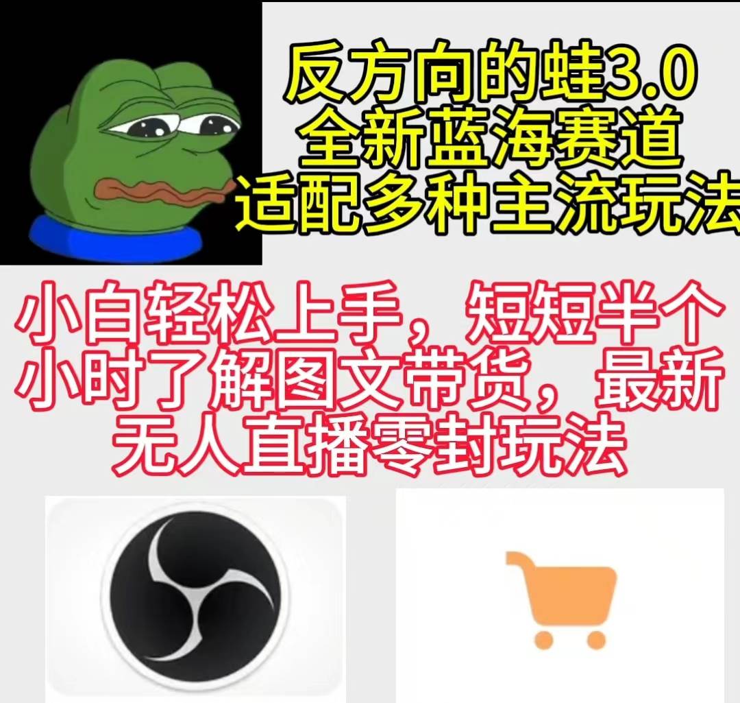 反方向的蛙3.0,图文最新玩法,变现多元化,新蓝海项目,小白轻松上手-逍遥游