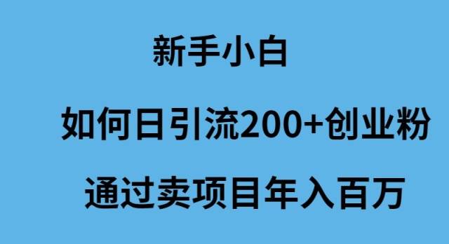 新手小白如何日引流200+创业粉通过卖项目年入百万-逍遥游