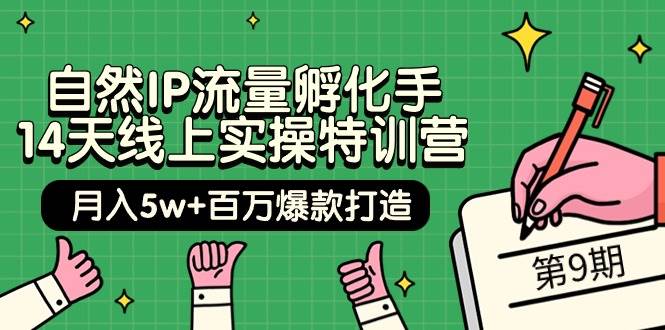 自然IP流量孵化手 14天线上实操特训营【第9期】月入5w+百万爆款打造 (74节)-逍遥游