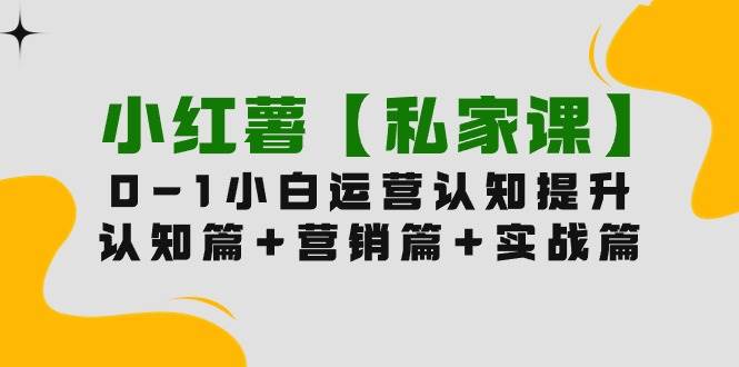 小红薯【私家课】0-1玩赚小红书内容营销,认知篇+营销篇+实战篇(11节课)-逍遥游