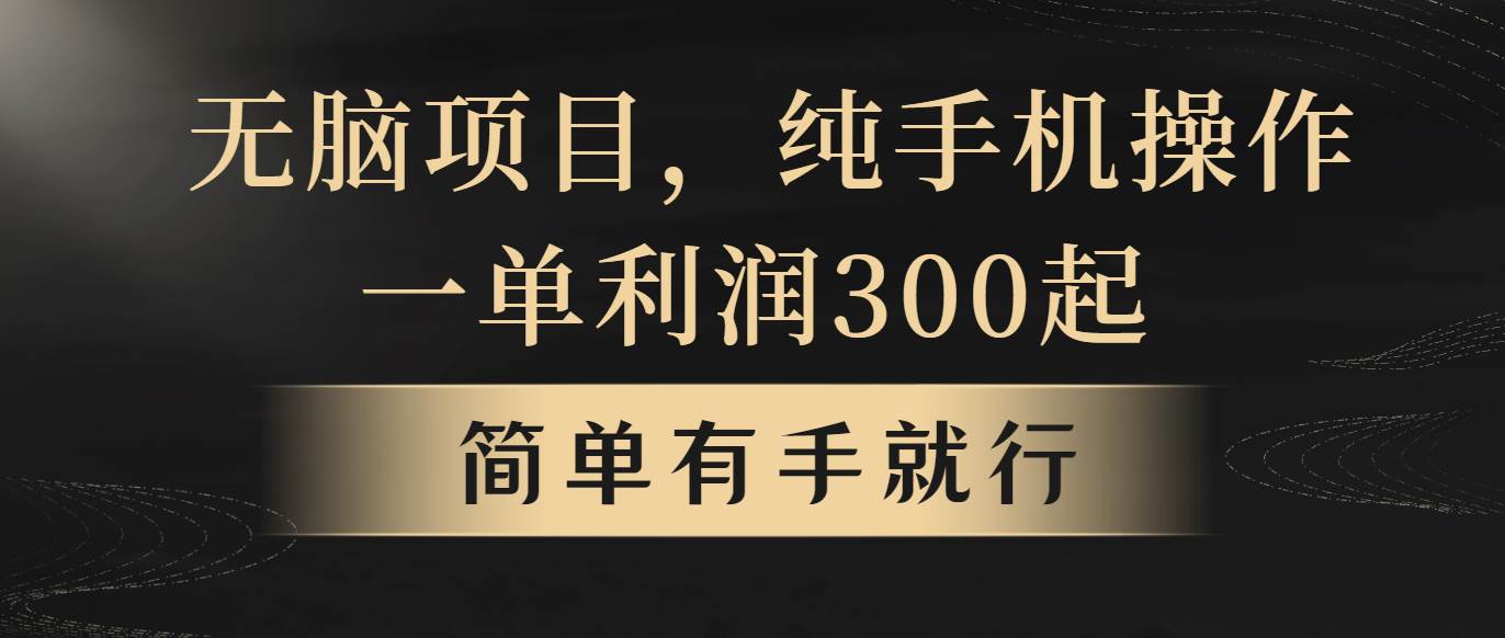 无脑项目，一单几百块，轻松月入5w+，看完就能直接操作-逍遥游