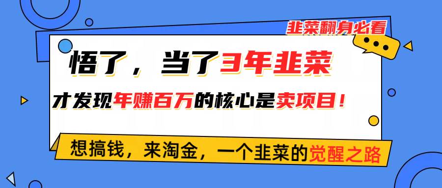 悟了,当了3年韭菜,才发现网赚圈年赚100万的核心是卖项目,含泪分享!-逍遥游