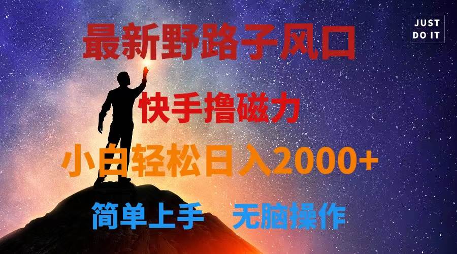 最新风口！快手撸磁力，野路子，小白无脑操作日入2000+-逍遥游