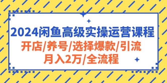 2024闲鱼高级实操运营课程:开店/养号/选择爆款/引流/月入2万/全流程-逍遥游