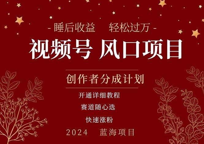 拥有睡眠收益的微信视频号大风口项目，轻松月入过万+，多赛道选择，可…-逍遥游