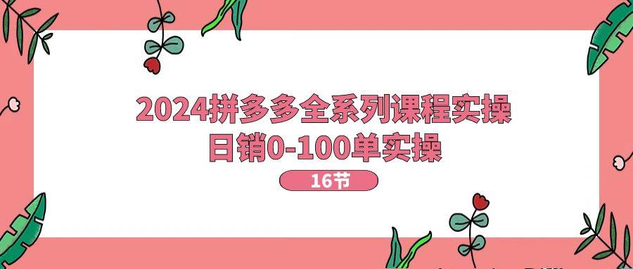 2024拼多多全系列课程实操,日销0-100单实操【16节课】-逍遥游