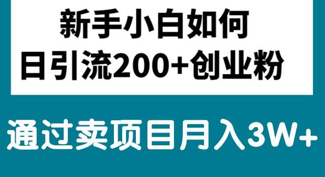 新手小白日引流200+创业粉,通过卖项目月入3W+-逍遥游