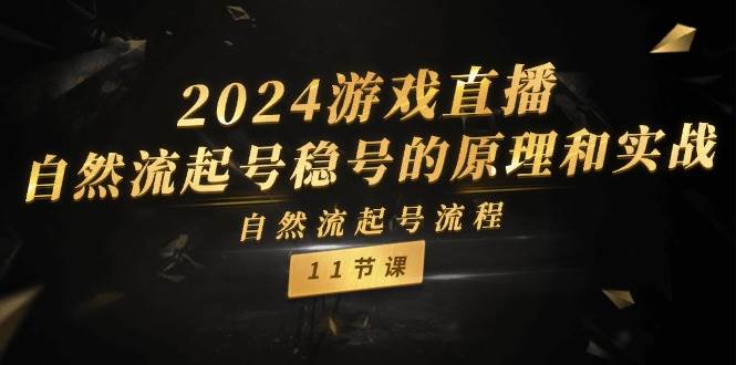 2024游戏直播-自然流起号稳号的原理和实战,自然流起号流程(11节)-逍遥游