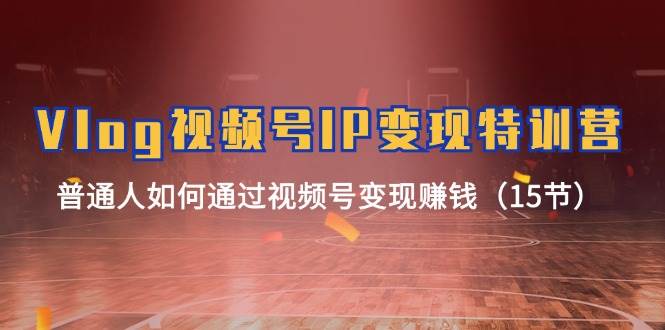 Vlog 视频号IP变现特训营,普通人如何通过视频号变现赚钱(15节)-逍遥游