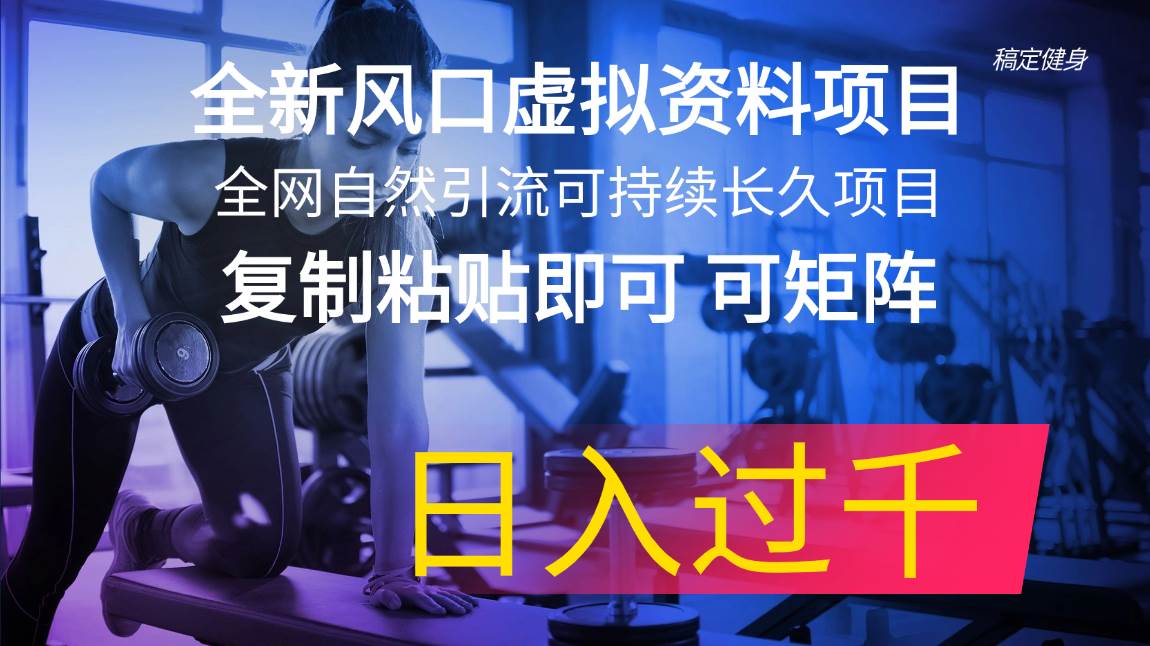 全新风口虚拟资料项目 全网自然引流可持续长久项目 复制粘贴即可可矩阵…-逍遥游