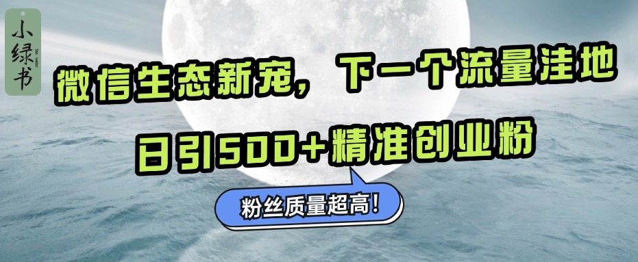 微信生态新宠小绿书：下一个流量洼地，粉丝质量超高，日引500+精准创业粉，-逍遥游