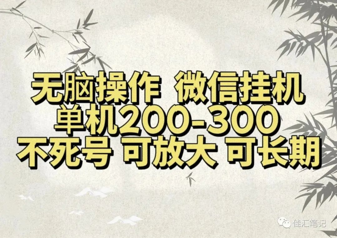 无脑操作微信视频号挂机单机200-300一天，不死号，可放大，工作室实测-逍遥游