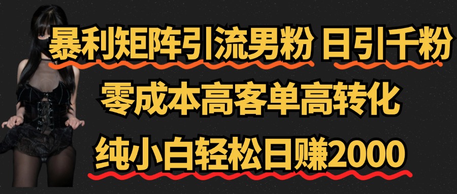 暴利矩阵引流男粉(日引千粉),零成本高客单高转化,纯小白轻松日赚2000+-逍遥游