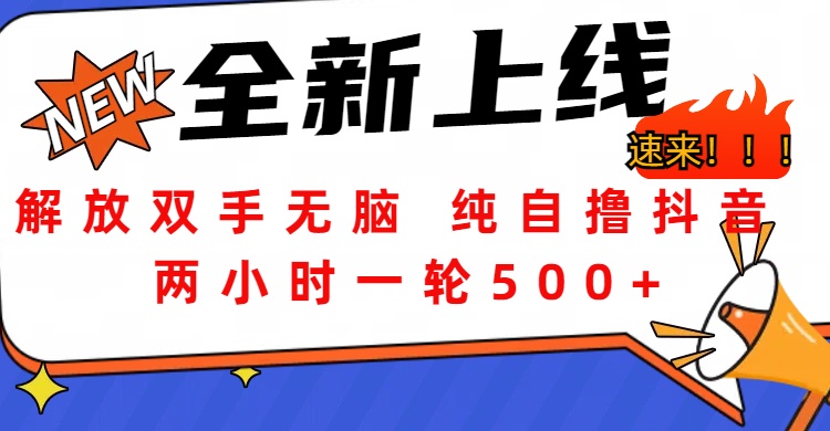 解放双手无脑 纯自撸抖音 两小时一轮500+-逍遥游