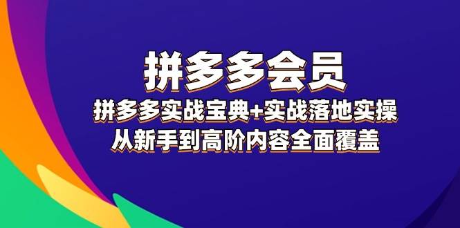 拼多多 会员，拼多多实战宝典+实战落地实操，从新手到高阶内容全面覆盖-逍遥游
