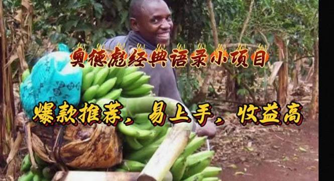 奥德彪经典语录小项目，爆款推荐，易上手，收益高-逍遥游