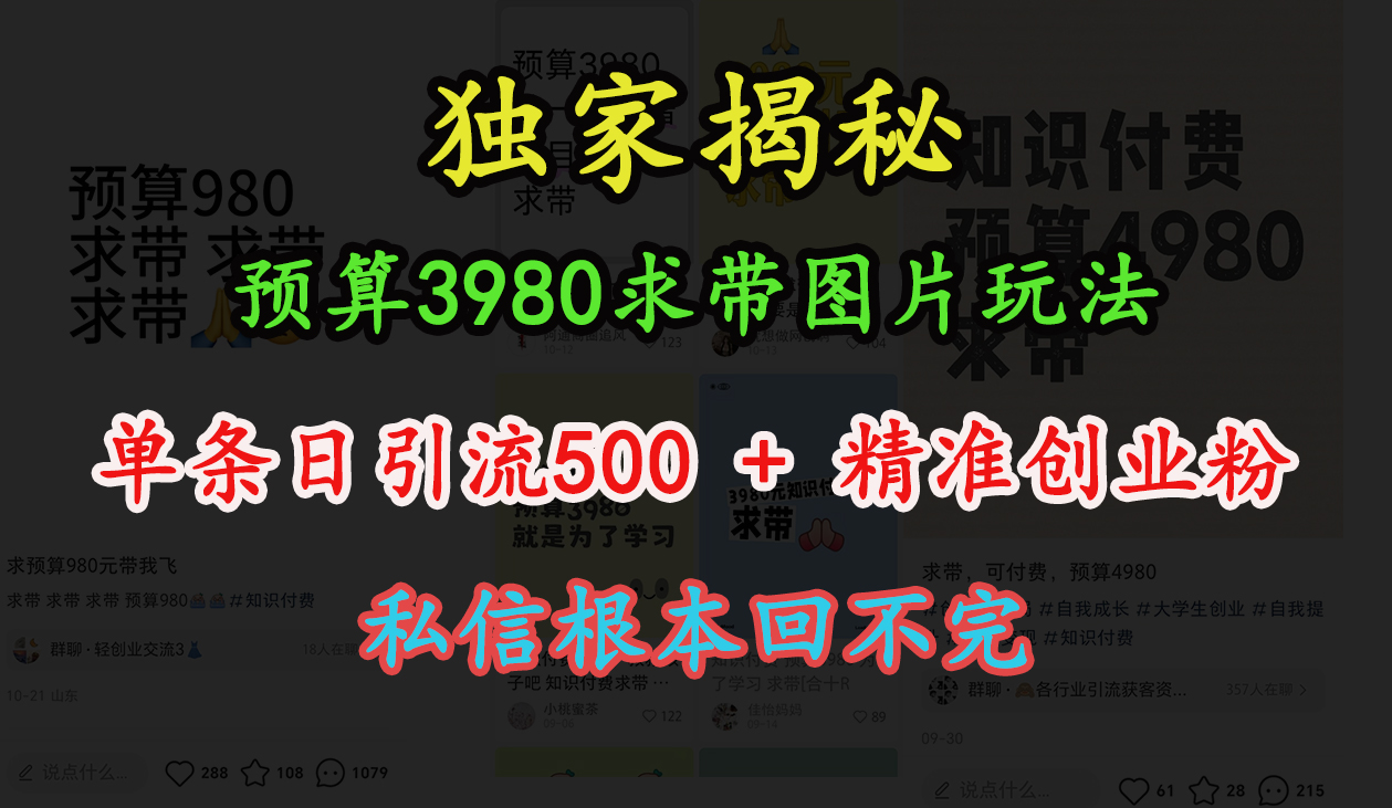 “小红书”预算3980求带 图片玩法,单条日引流500+精准创业粉,私信根本回不完-逍遥游