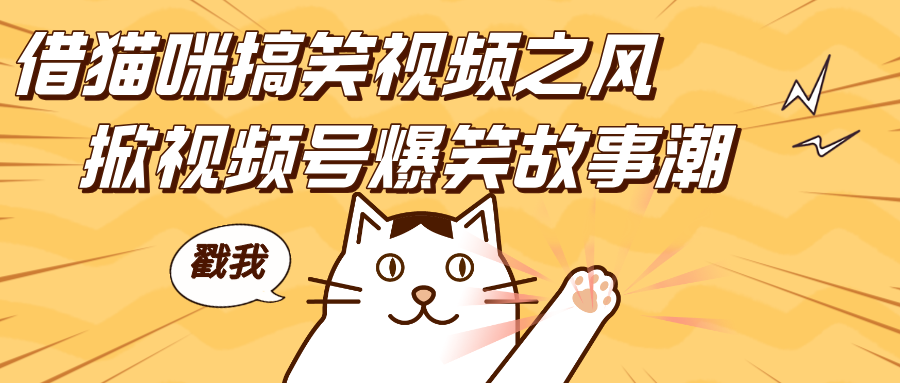 借猫咪搞笑视频之风，掀视频号爆笑故事潮，轻松日赚四位数，开启无门槛赚钱新体验！-逍遥游
